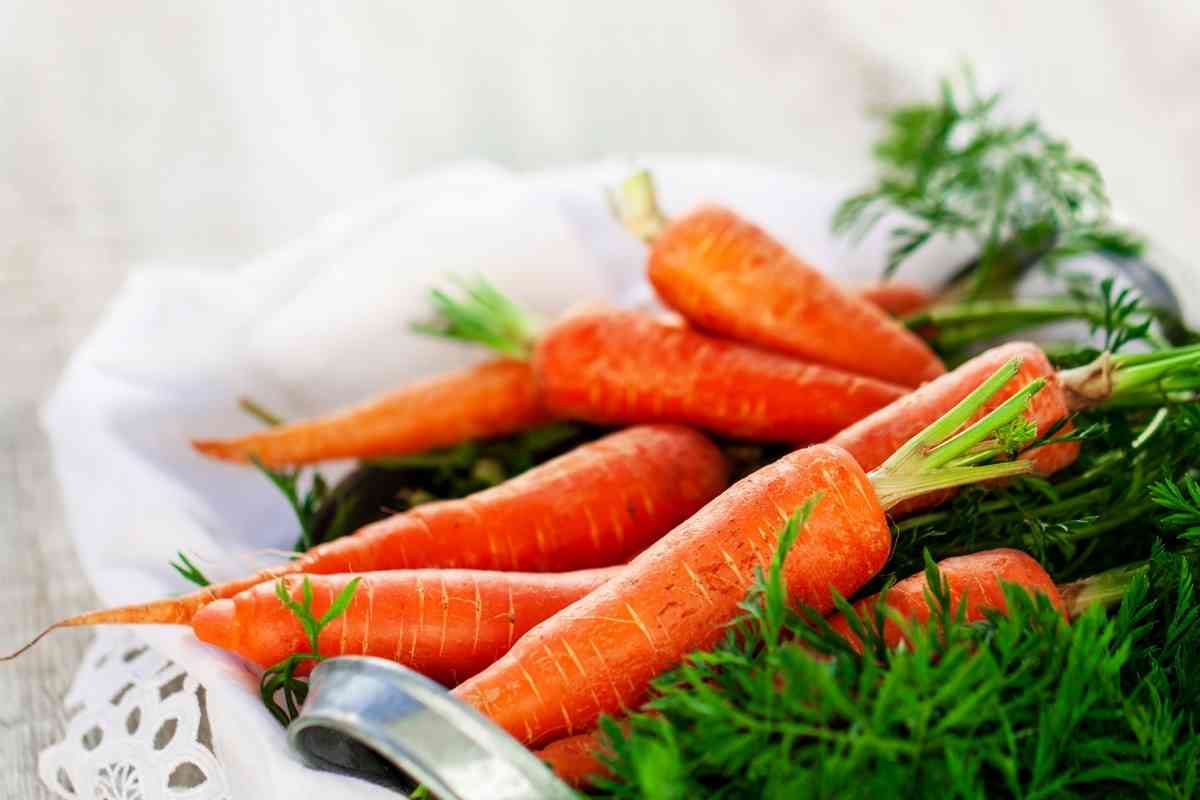 9 Best Vegetables You Can Eat Raw