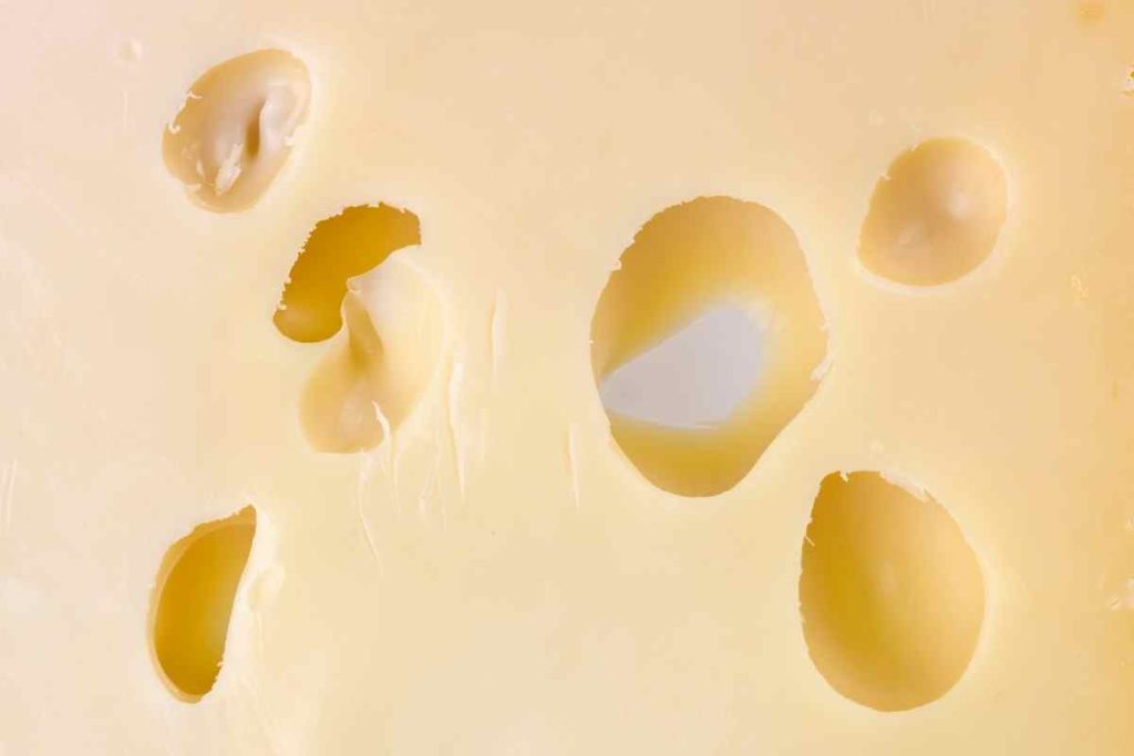 10 Best Emmental Cheese Substitutes