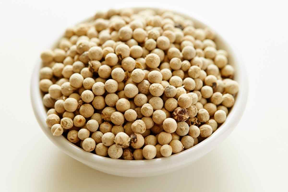 10 Best Black Pepper Substitutes