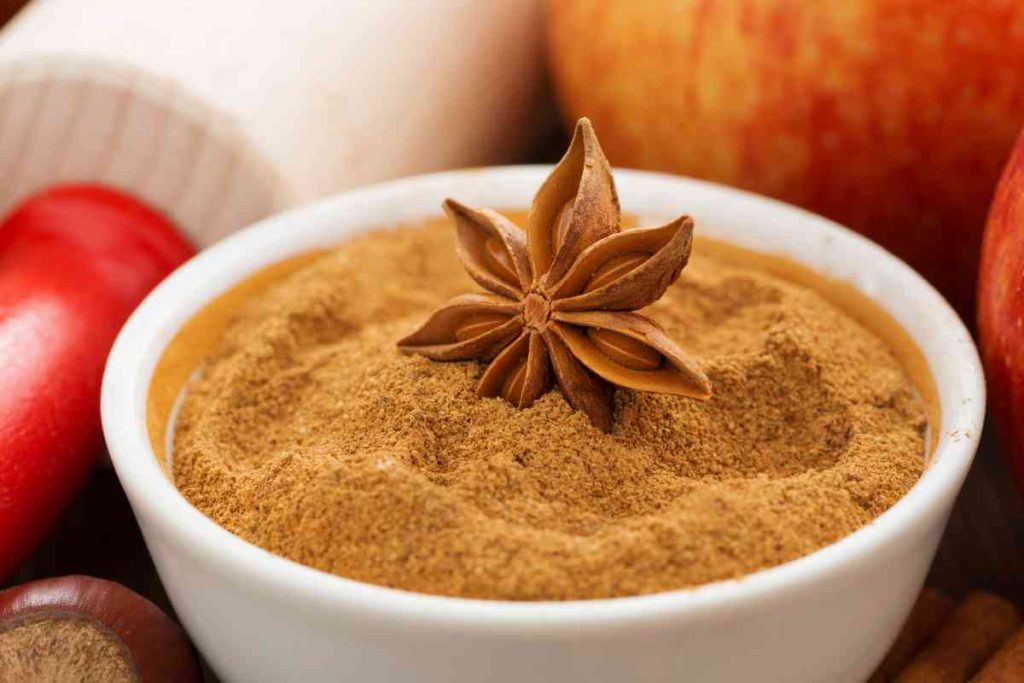 11 Best Substitute for Mace