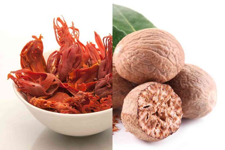 Mace Vs Nutmeg