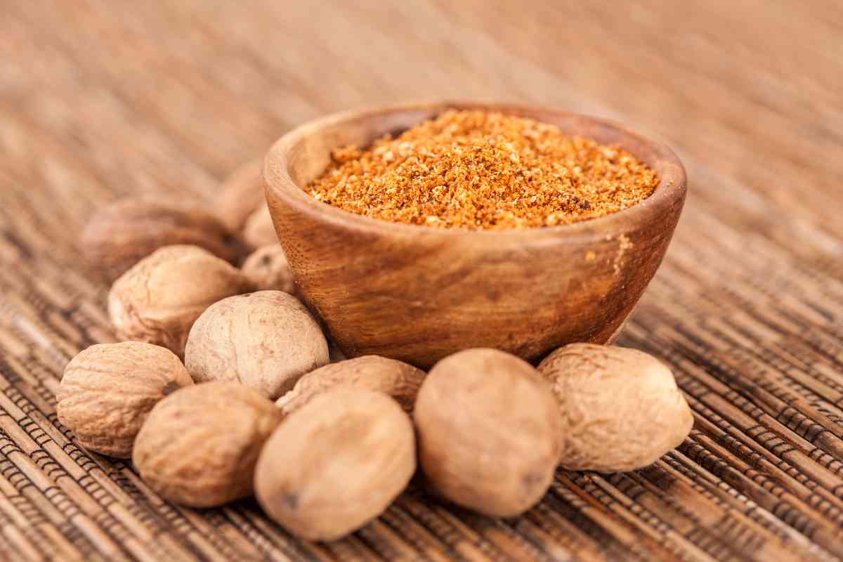 11 Best Substitute for Mace