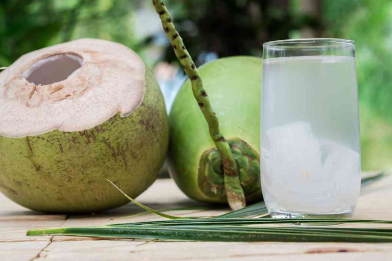 Substitute For Coconut Water