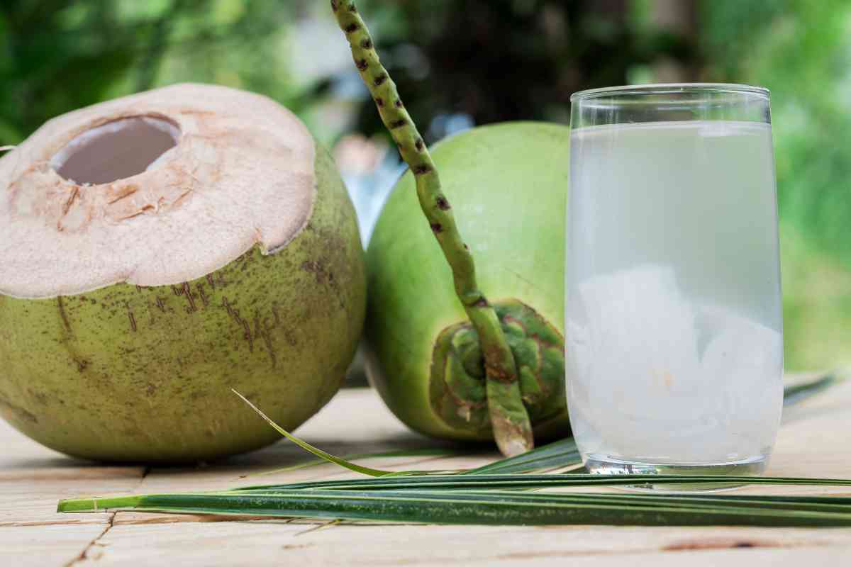 Substitute For Coconut Water