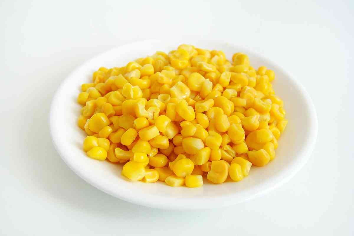 18 Best Substitutes For Kidney Beans