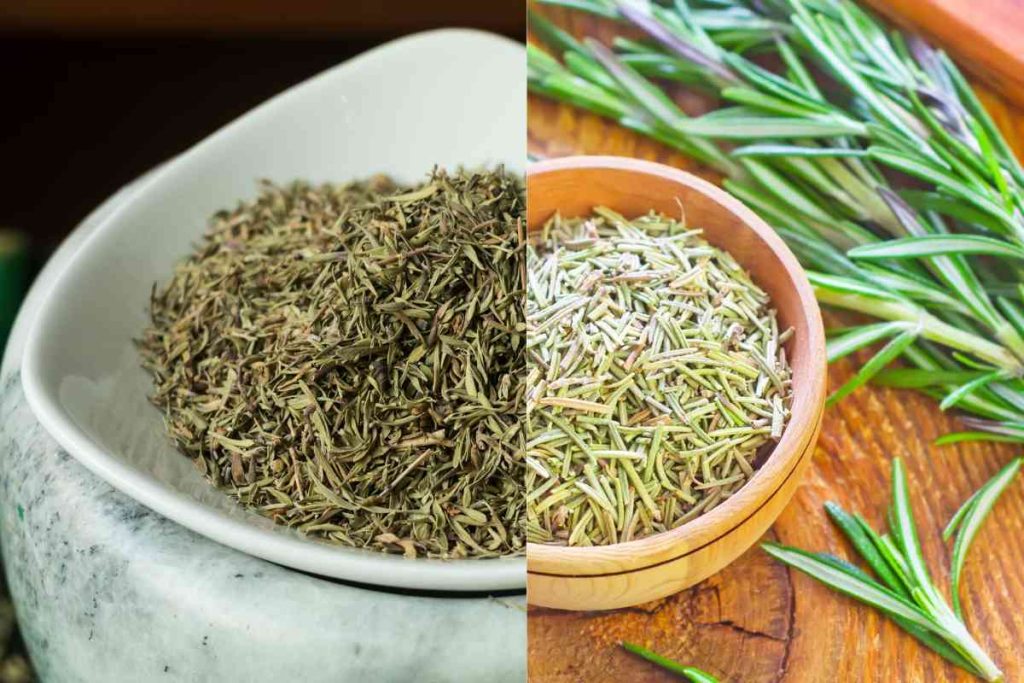Thyme Vs Rosemary ( Best Comparison and Differences)