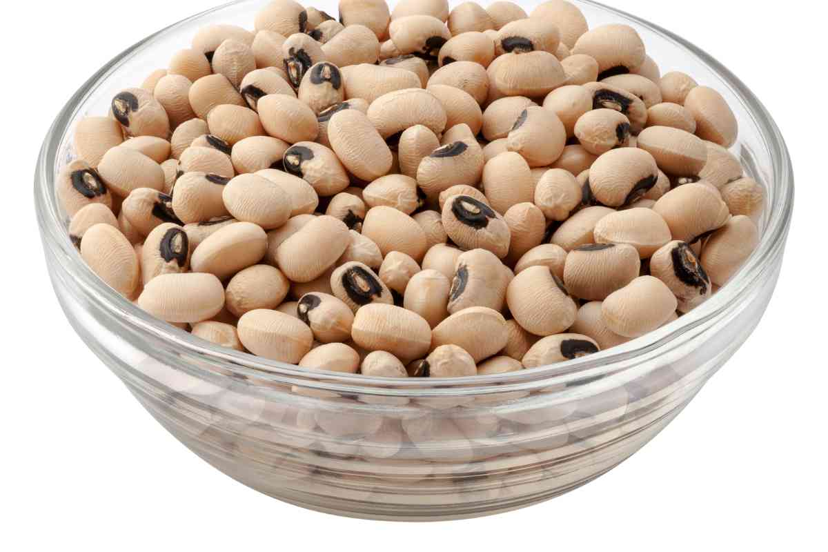 11 Best Black Beans Substitutes