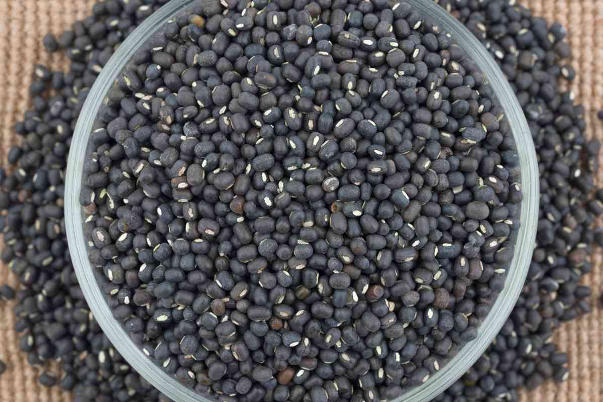 12 Best Substitutes for Mung Beans