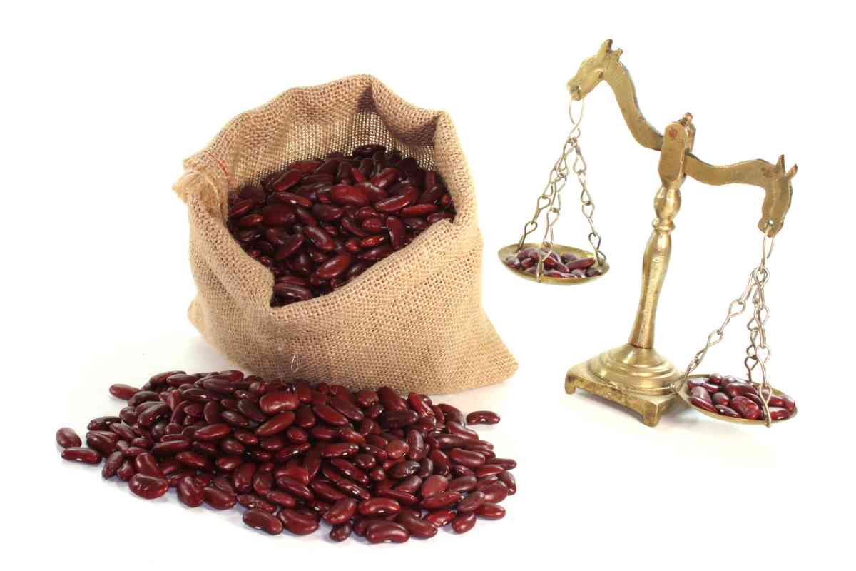 11 Best Black Beans Substitutes