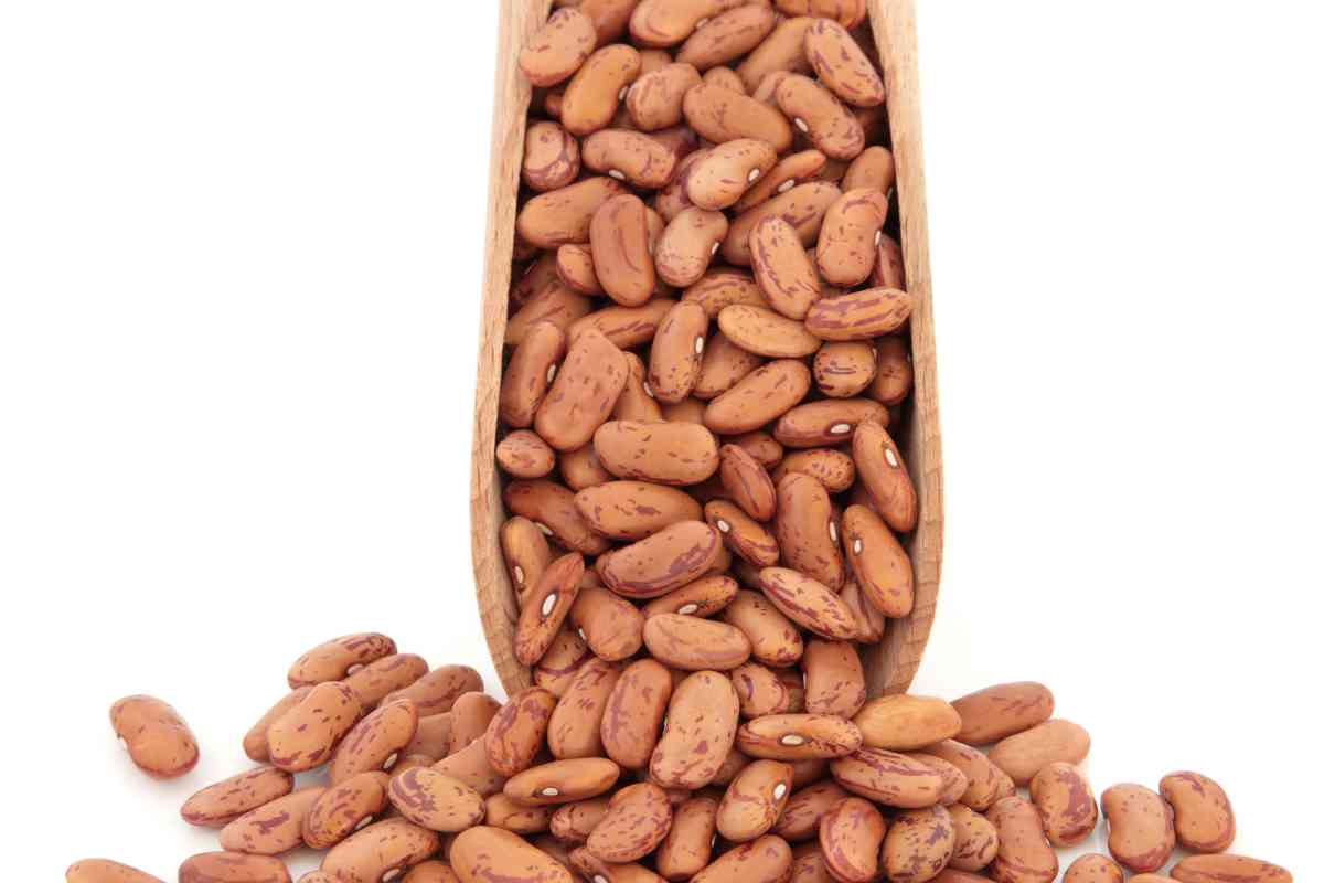 11 Best Black Beans Substitutes