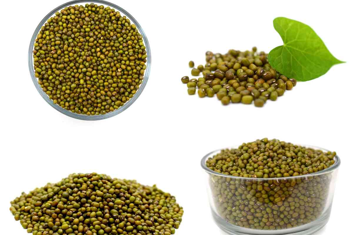 12 Best Substitutes for Mung Beans